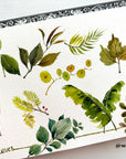 Watercolors with Seema Sawhney - Learn Basic Techniques - March Workshop